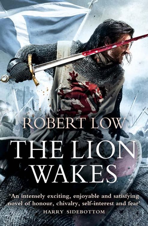 Produktbild: The Lion Wakes