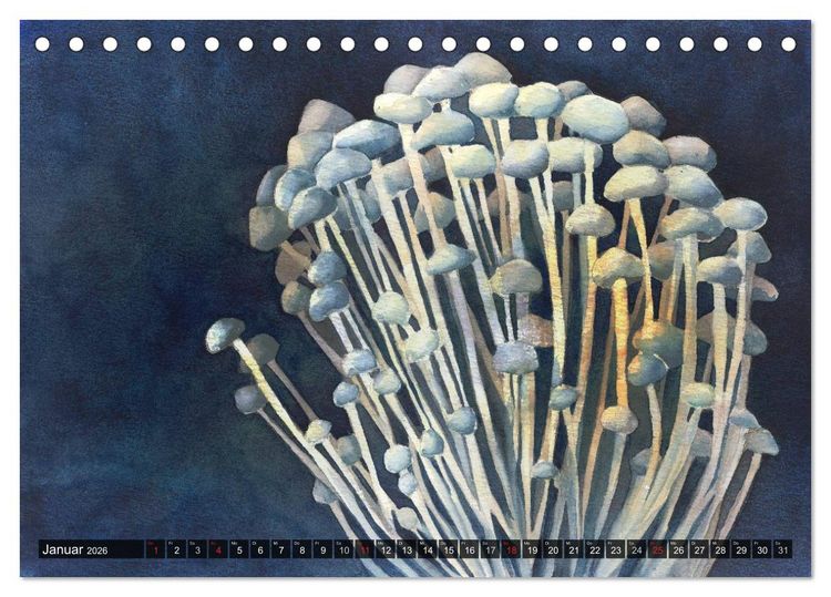 Produktbild: Pilze in Aquarell (Tischkalender 2026 DIN A5 quer), CALVENDO Monatskalender