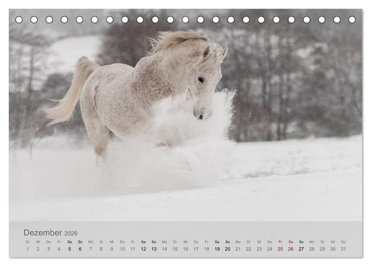 Produktbild: Pferde - Anmut und St&auml;rke gepaart mit Magie (Tischkalender 2026 DIN A5 quer), CALVENDO Monatskalender