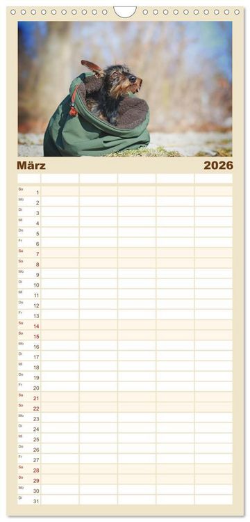 Produktbild: Familienplaner 2026 - Der Dackel mit 5 Spalten (Wandkalender, 21 x 45 cm) CALVENDO