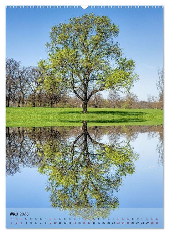 Produktbild: Spiegelb&auml;ume (hochwertiger Premium Wandkalender 2026 DIN A2 hoch), Kunstdruck in Hochglanz