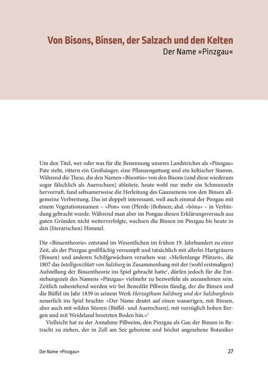 Produktbild: Geschichte des Pinzgaus