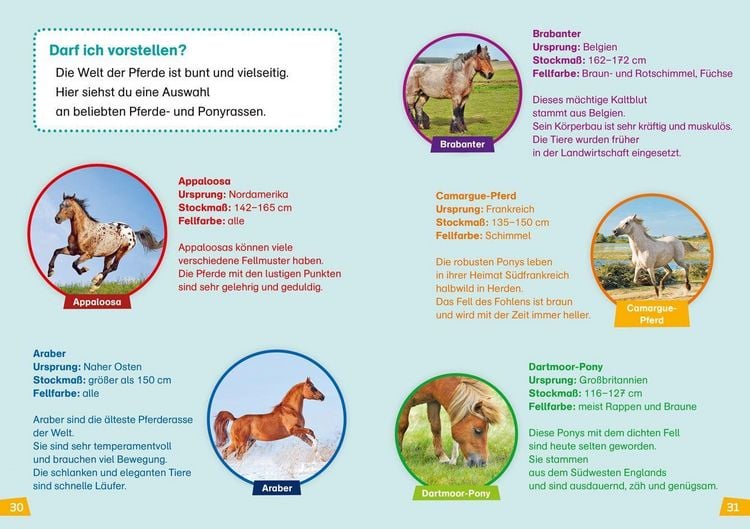 Produktbild: WAS IST WAS Erstes Lesen Band 7. Pferde und Ponys