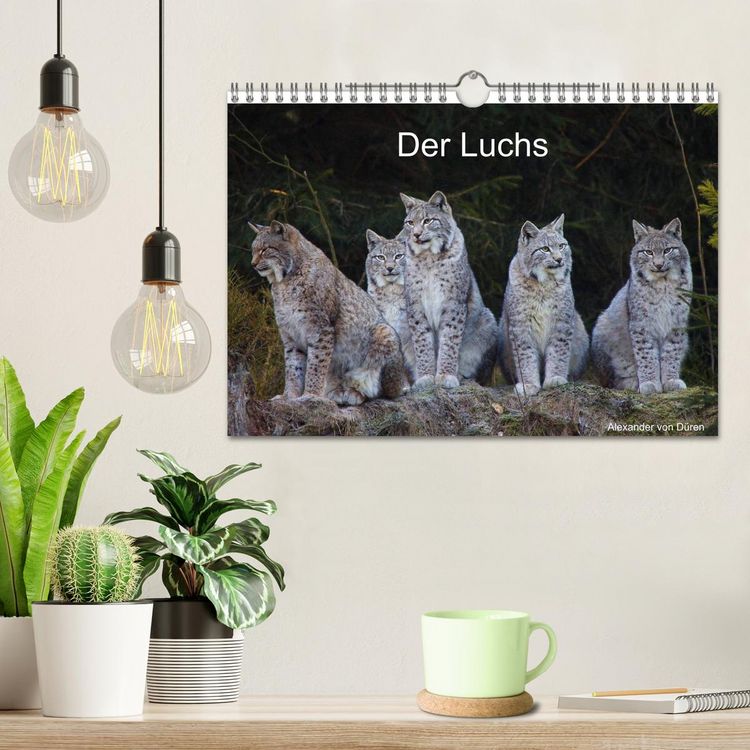 Produktbild: Der Luchs (Wandkalender 2026 DIN A4 quer), CALVENDO Monatskalender