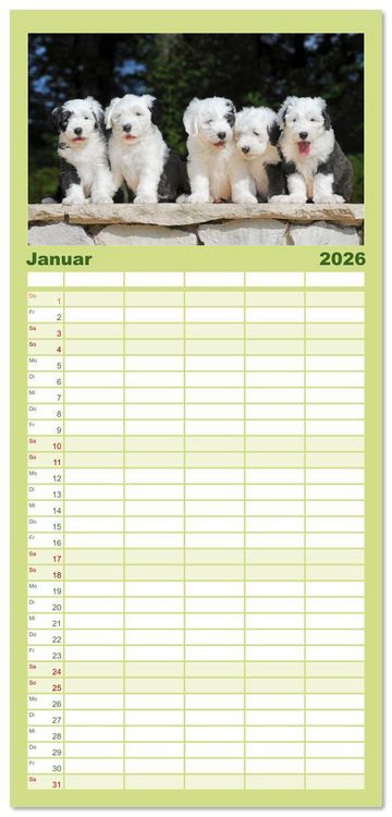 Produktbild: Familienplaner 2026 - In der Kinderstube bei Familie Bobtail mit 5 Spalten (Wandkalender, 21 x 45 cm) CALVENDO