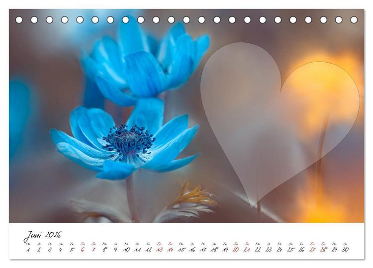 Produktbild: Blauer Bl&uuml;tentraum - Bastelkalender (Tischkalender 2026 DIN A5 quer), CALVENDO Monatskalender