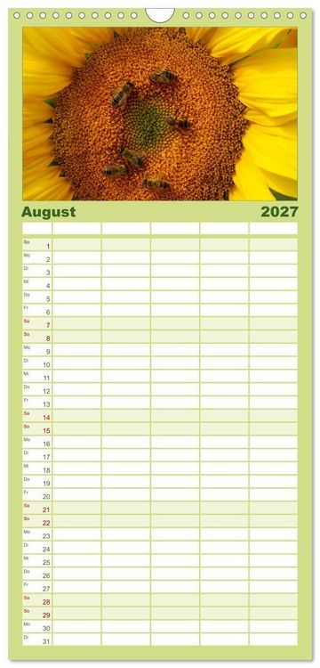 Produktbild: Familienplaner 2027 - Sonnenblumen mit 5 Spalten (Wandkalender, 21 x 45 cm) CALVENDO