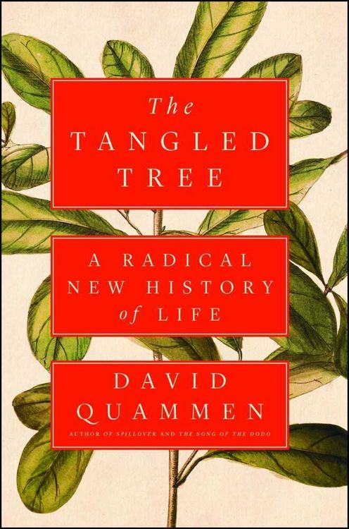 Produktbild: Quammen, D: Tangled Tree