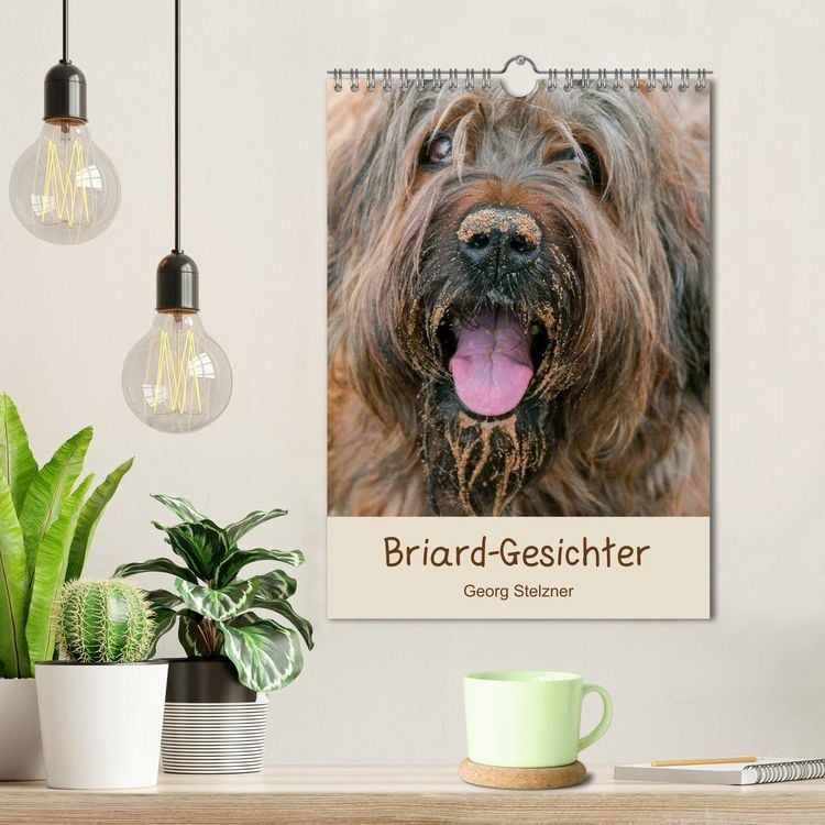 Produktbild: Briard-Gesichter (Wandkalender 2026 DIN A4 hoch), CALVENDO Monatskalender