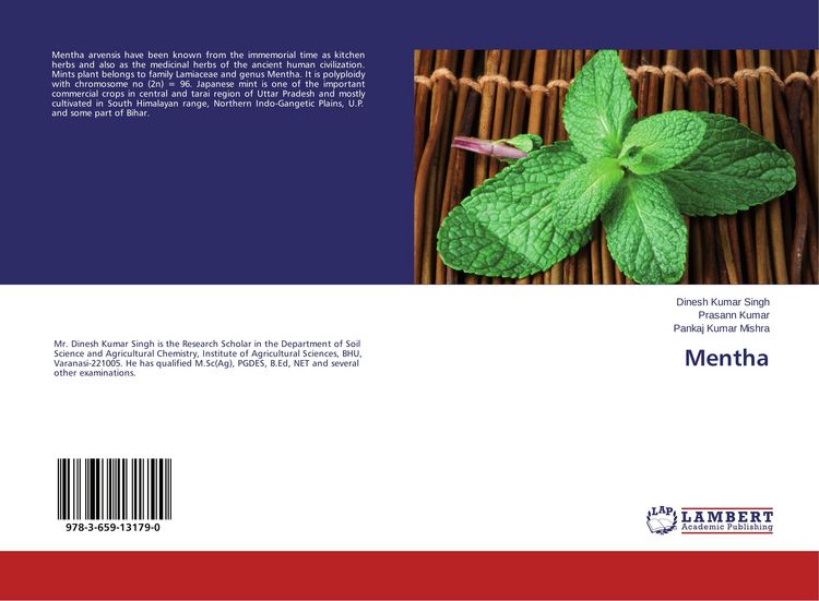 Produktbild: Mentha