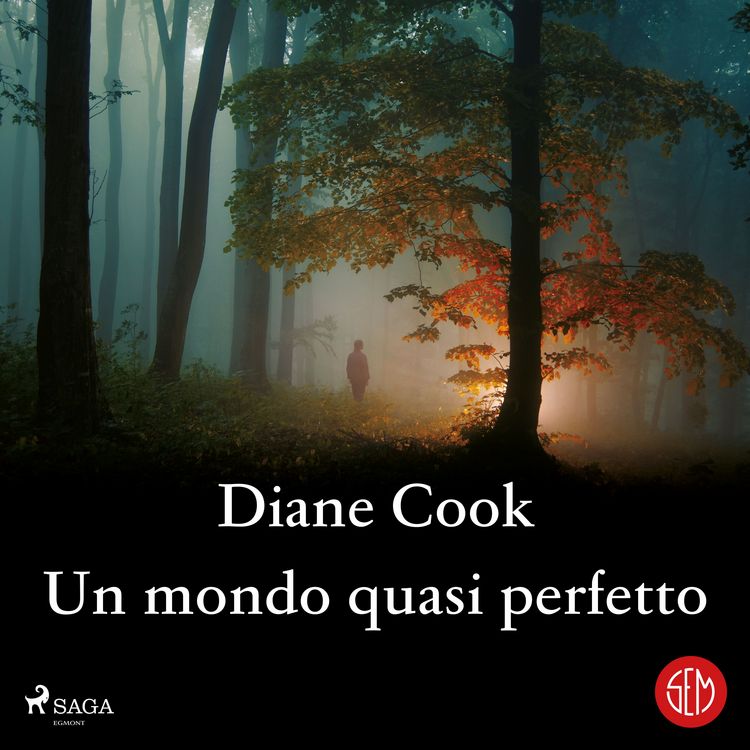 Produktbild: Un mondo quasi perfetto
