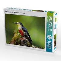 Produktbild: CALVENDO Puzzle Goldmaskenspecht (Melanerpes flavifrons) | 1000 Teile Lege-Gr&ouml;&szlig;e 64x48cm Foto-Puzzle f&uuml;r gl&uuml;ckliche Stunden