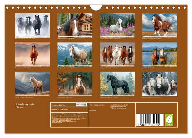 Produktbild: Pferde in freier Natur (Wandkalender 2026 DIN A4 quer), CALVENDO Monatskalender