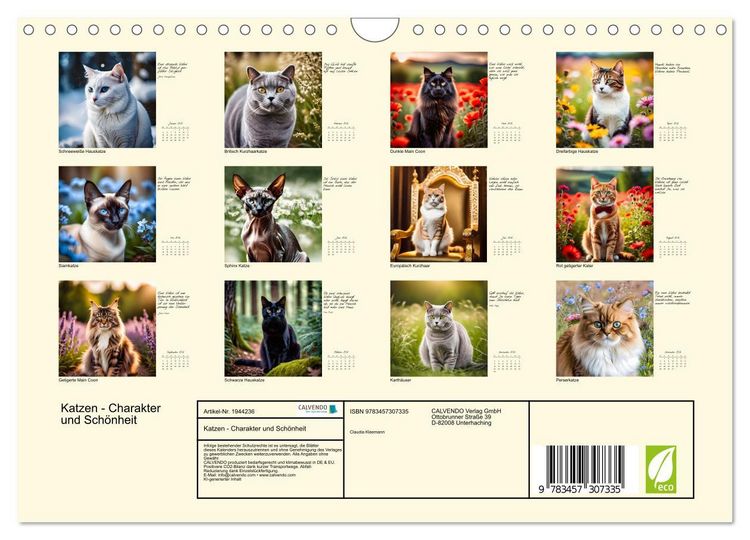 Produktbild: Katzen - Charakter und Sch&ouml;nheit (Wandkalender 2026 DIN A4 quer), CALVENDO Monatskalender
