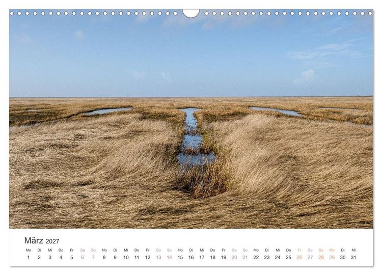 Produktbild: Hamburger Hallig - Der Weg ist das Ziel (Wandkalender 2027 DIN A3 quer), CALVENDO Monatskalender