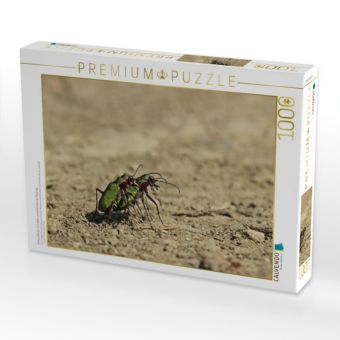 Produktbild: CALVENDO Puzzle Feldsandl&auml;ufer (Cicindela campestris) bei der Paarung | 1000 Teile Lege-Gr&ouml;&szlig;e 64x48cm Foto-Puzzle f&uuml;r gl&uuml;ckliche Stunden