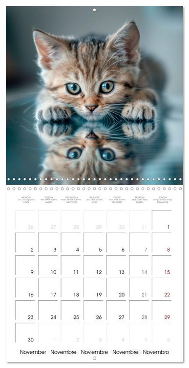 Produktbild: KITTEN Cuteness overload (Wall Calendar 2026 12 &times; 12 Inch) CALVENDO 12 Month Wall Calendar