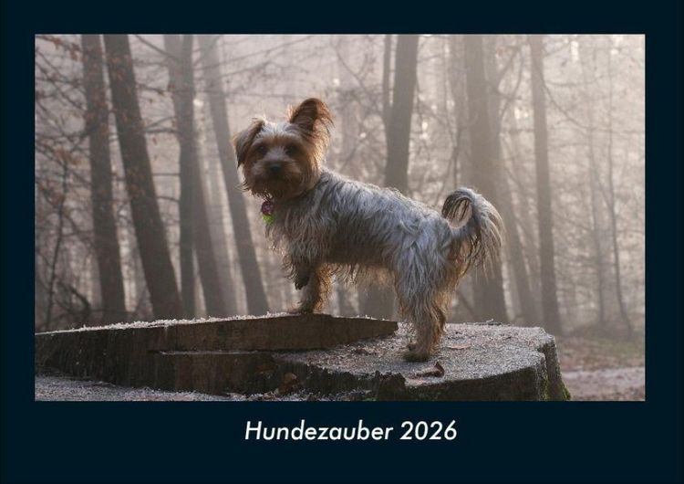 Produktbild: Hundezauber 2026 Fotokalender DIN A4
