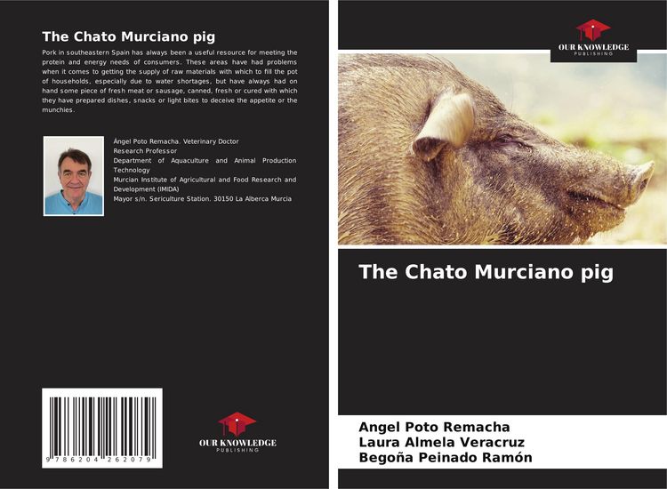 Produktbild: The Chato Murciano pig