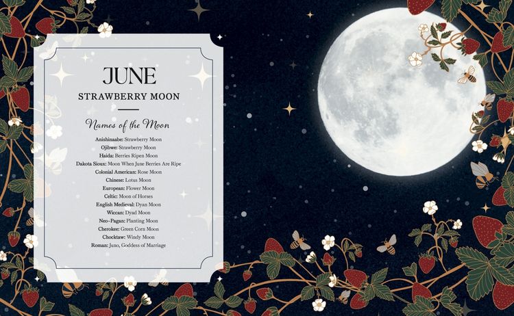Produktbild: The Full Moon Yearbook