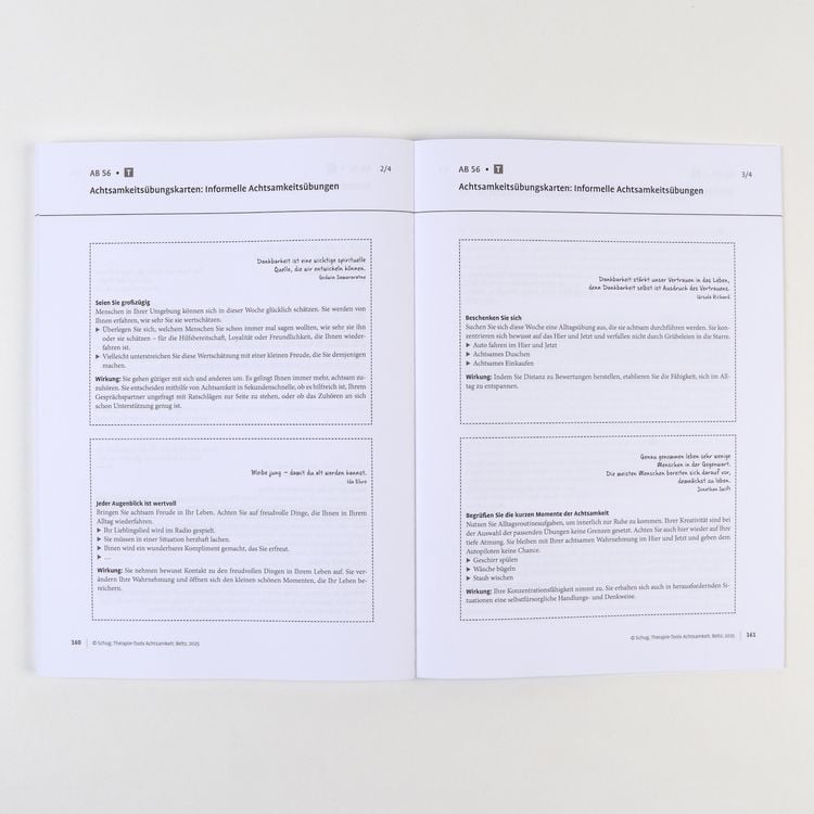 Produktbild: Therapie-Tools Achtsamkeit