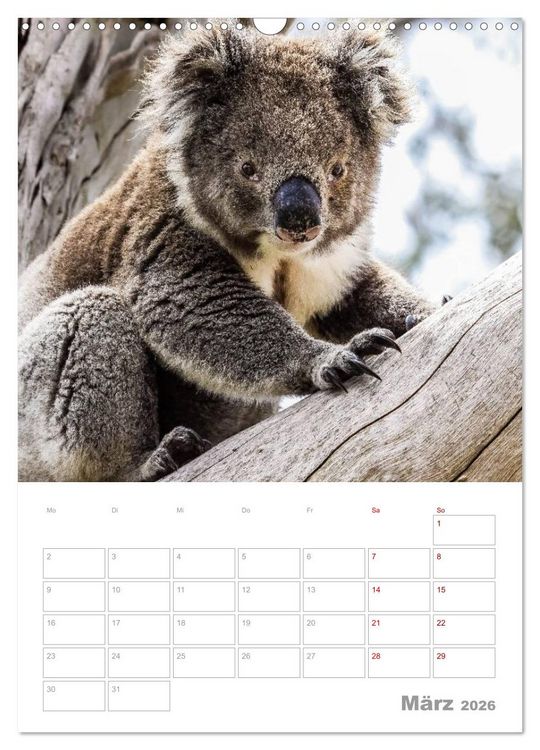 Produktbild: g'day Australien 2026 (Wandkalender 2026 DIN A3 hoch), CALVENDO Monatskalender