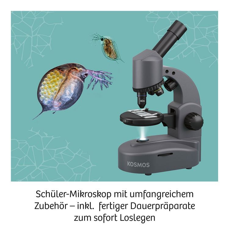 Produktbild: Mikroskop