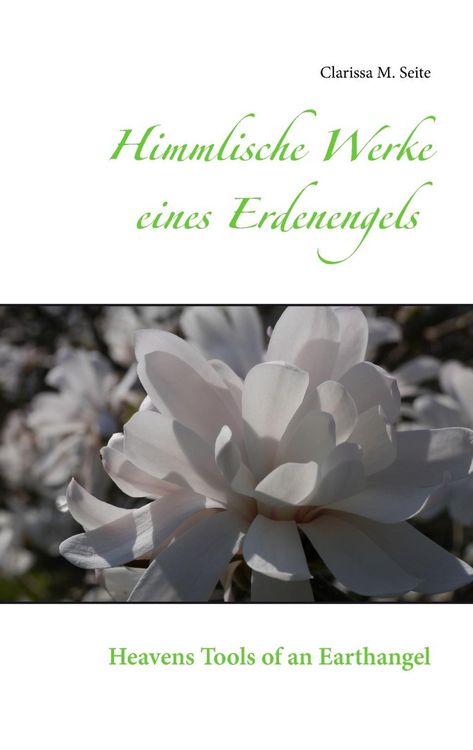 Produktbild: Himmlische Werke eines Erdenengels