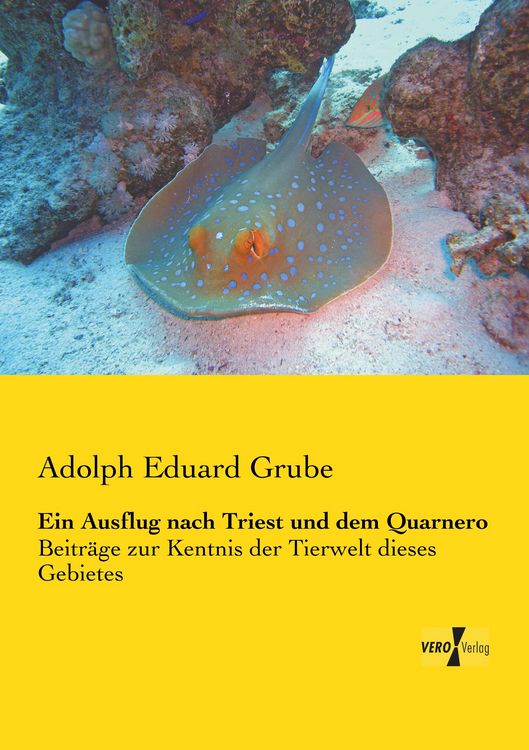 Produktbild: Ein Ausflug nach Triest und dem Quarnero