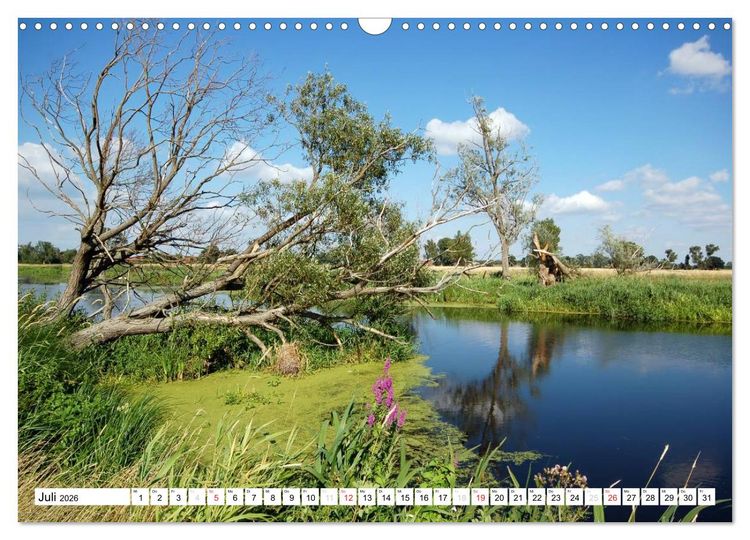 Produktbild: Vier Jahreszeiten im Land Brandenburg (Wandkalender 2026 DIN A3 quer), CALVENDO Monatskalender