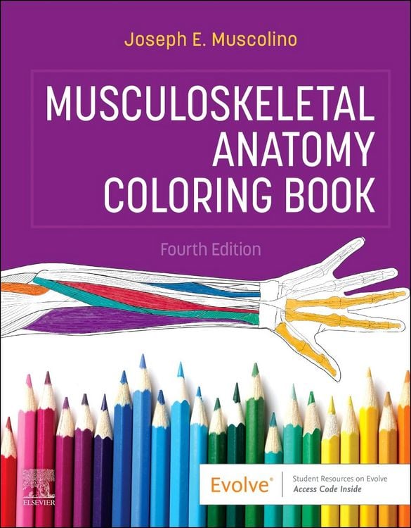 Produktbild: Musculoskeletal Anatomy Coloring Book