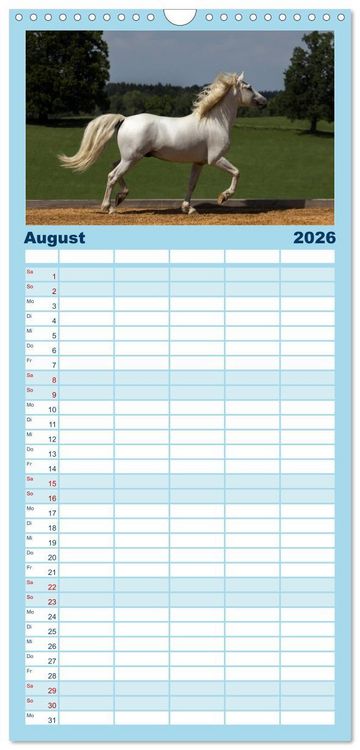 Produktbild: Familienplaner 2026 - Wei&szlig;e Pferde der Camargue in Bayern mit 5 Spalten (Wandkalender, 21 x 45 cm) CALVENDO