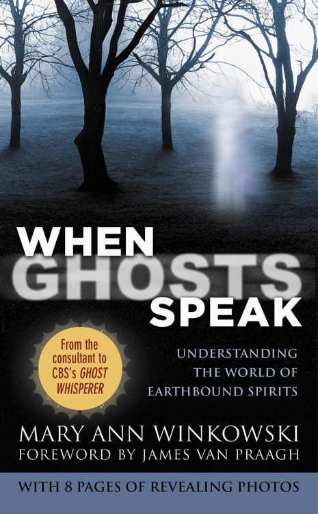 Produktbild: When Ghosts Speak