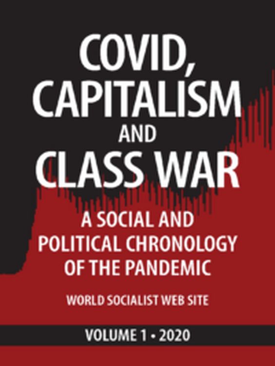 Produktbild: Covid, Capitalism, and Class War, Volume 1 2020: A Social and Political Chronology of the Pandemic (Covid, Capitalism and Class War, #1)