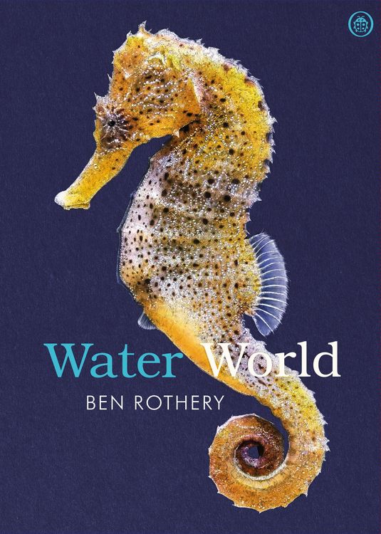 Produktbild: Water World