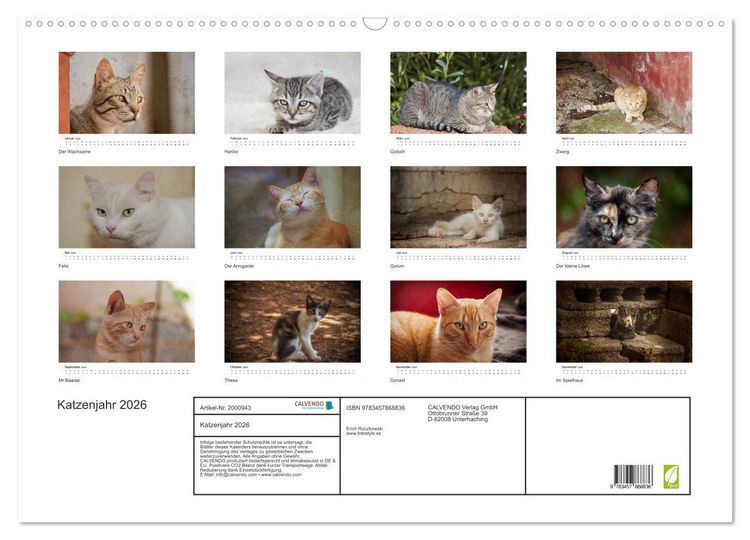 Produktbild: Katzenjahr 2026 (Wandkalender 2026 DIN A2 quer), CALVENDO Monatskalender