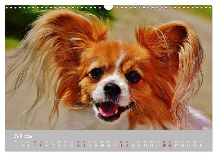 Produktbild: Dein Hund der treue Begleiter (Wandkalender 2026 DIN A3 quer), CALVENDO Monatskalender