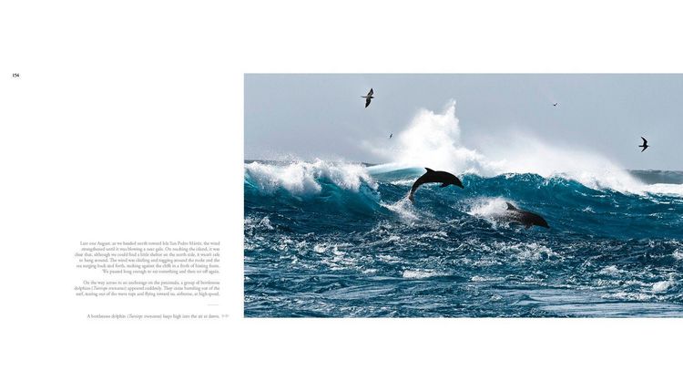 Produktbild: The Sea of Dreams