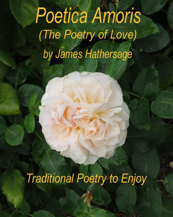 Produktbild: Poetica Amoris