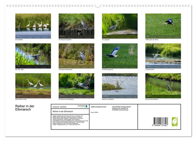 Produktbild: Reiher in der Elbmarsch (hochwertiger Premium Wandkalender 2027 DIN A2 quer), Kunstdruck in Hochglanz