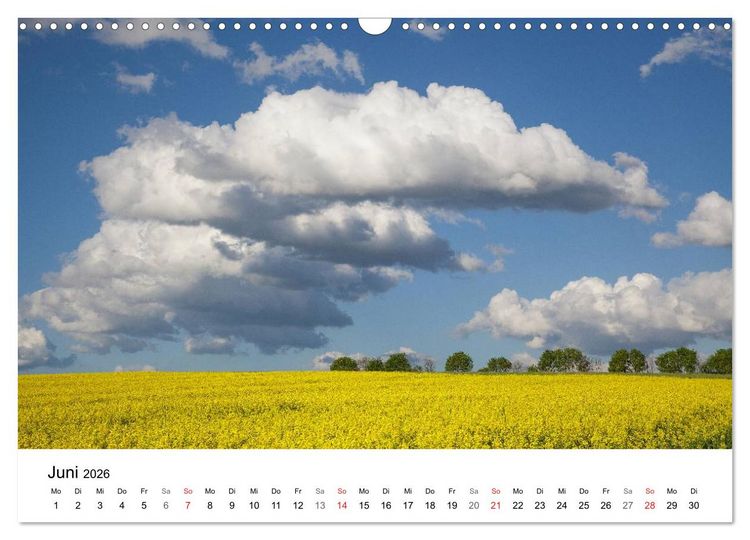 Produktbild: Rapsodie (Wandkalender 2026 DIN A3 quer), CALVENDO Monatskalender