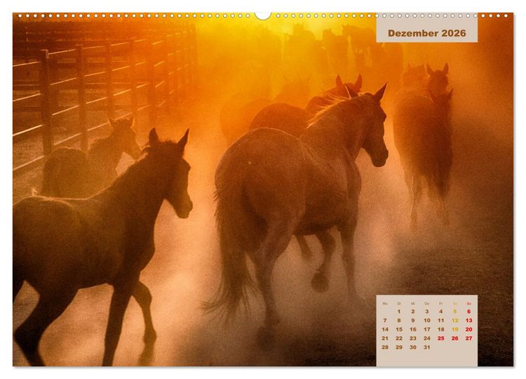 Produktbild: Pferde - Andalusiens wilder Westen (Wandkalender 2026 DIN A2 quer), CALVENDO Monatskalender