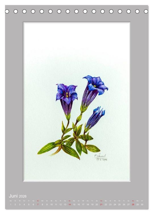 Produktbild: Alpenblumen Aquarelle aus Tirol (Tischkalender 2026 DIN A5 hoch), CALVENDO Monatskalender