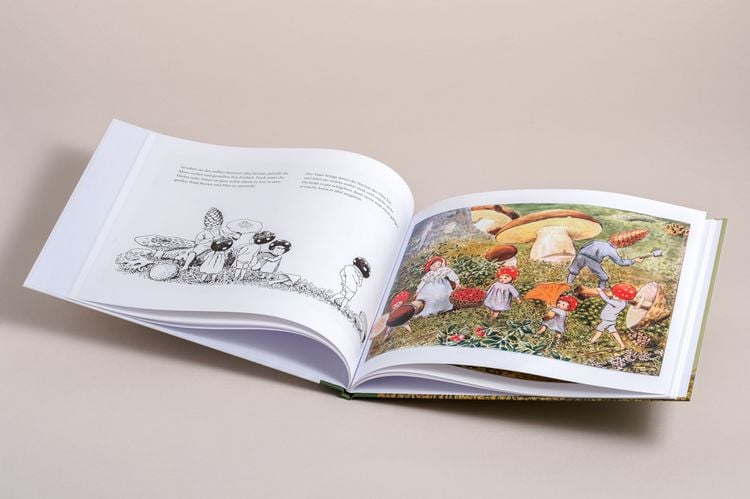 Produktbild: Die Wichtelkinder