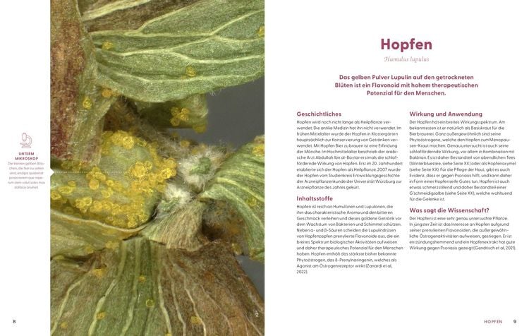 Wie Wildkräuter wirken