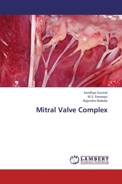 Produktbild: Mitral Valve Complex