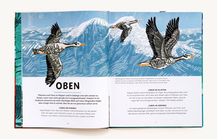Produktbild: Oben, unten und lange her
