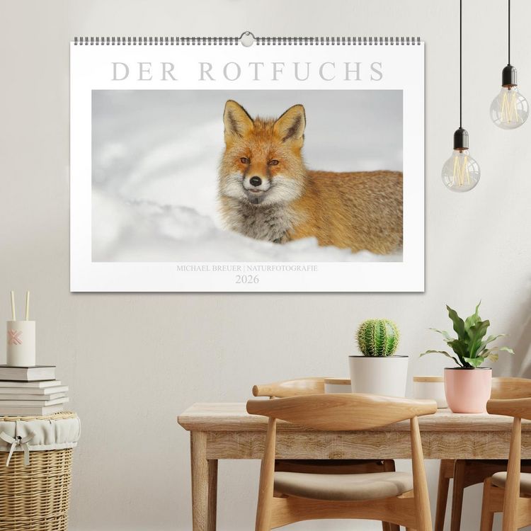 Produktbild: Der Rotfuchs (Wandkalender 2026 DIN A2 quer), CALVENDO Monatskalender