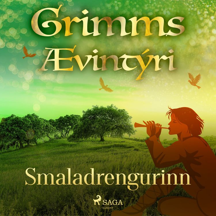 Produktbild: Smaladrengurinn