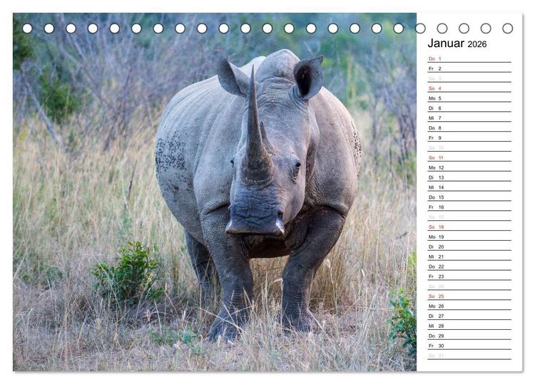 Produktbild: S&uuml;dafrika - Big 5 und mehr (Tischkalender 2026 DIN A5 quer), CALVENDO Monatskalender